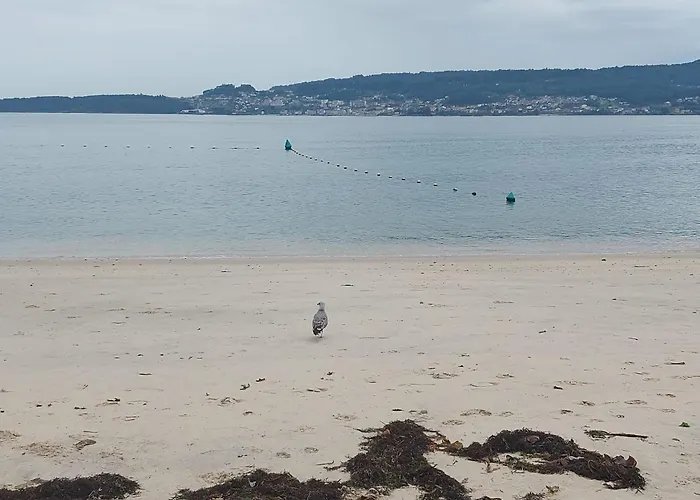 Piso Km0 De Апартаменты